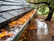 gouttière bouchée par les feuilles : que faire si l’arbre est au voisin ?