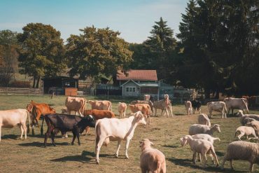 Peut-on construire sur une servitude de tréfond ? Ce que dit le droit